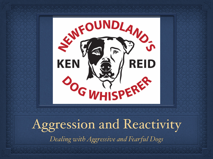 Aggression and Reactivity Presentation pdf